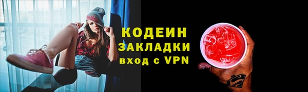стаф Кадников
