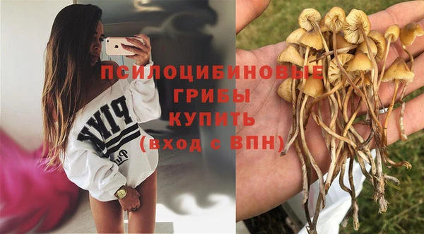 дурь Мегион